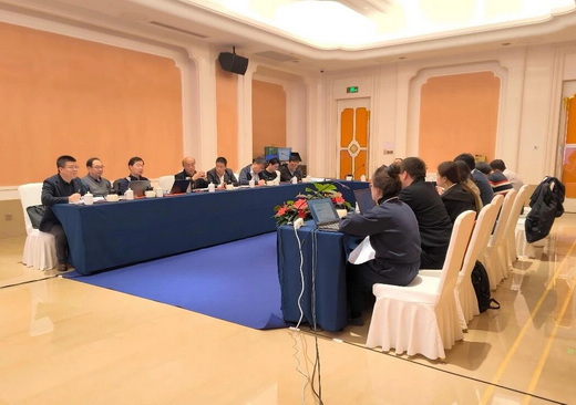 《硅固溶强化铁素体球墨铸铁压铸机模板件》团体标准审查会在杭州召开