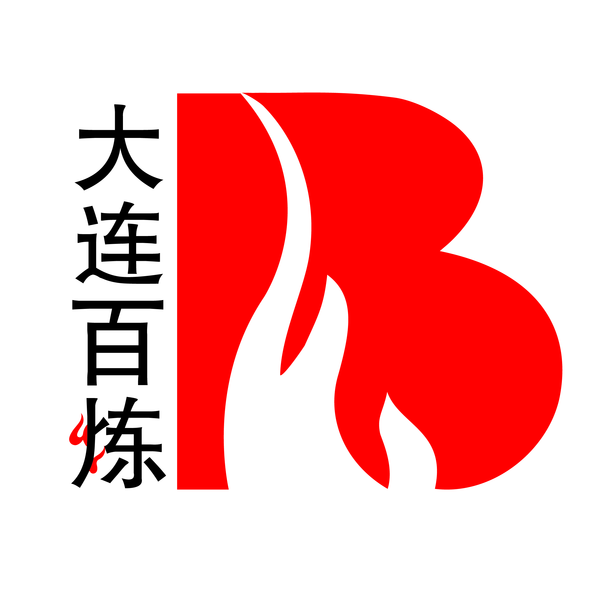 大连百炼科技有限公司 Logo
