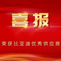 浩信荣获比亚迪汽车2024年度“优秀供应商”称号