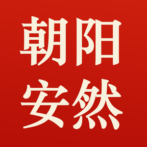 朝阳安然精工技术有限公司 Logo
